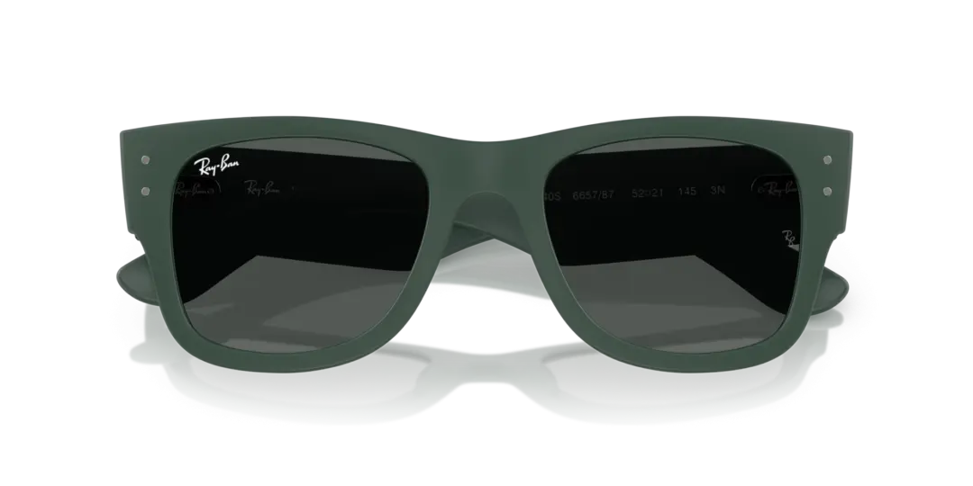 Ray-Ban 0RB4840S 665787