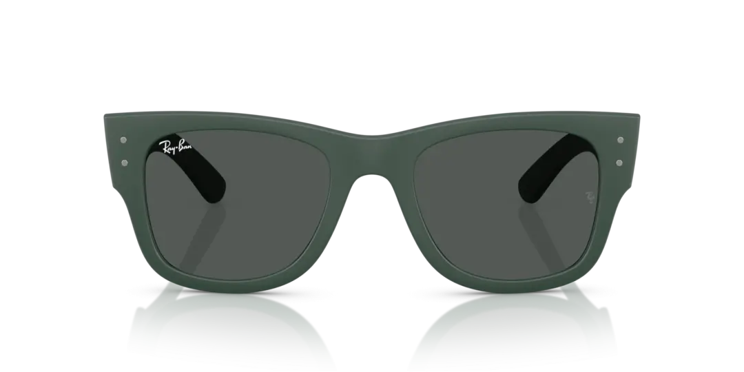 Ray-Ban 0RB4840S 665787