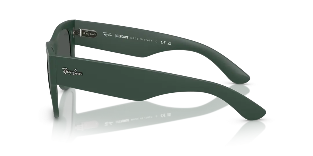 Ray-Ban 0RB4840S 665787