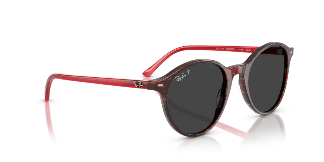 Ray-Ban Bernard 0RB2230F 141948