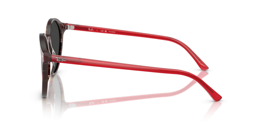 Ray-Ban Bernard 0RB2230F 141948