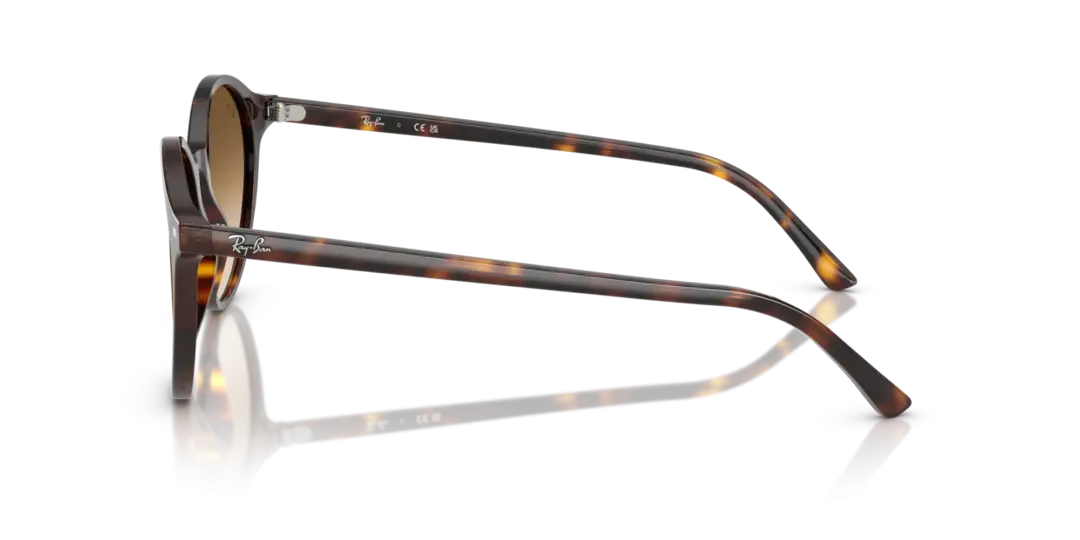 Ray-Ban Bernard 0RB2230F 902/51