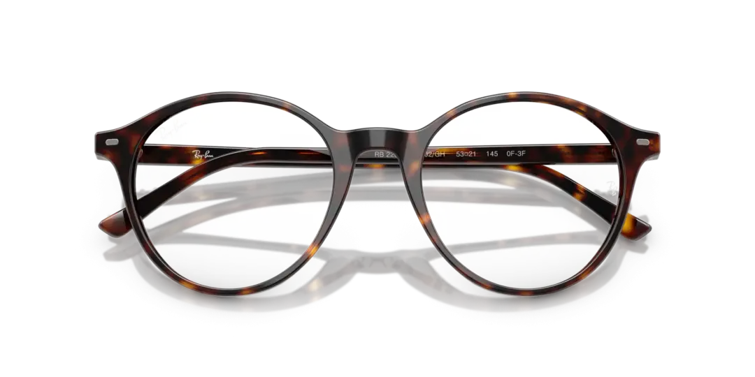 Ray-Ban Bernard 0RB2230F 902/GH