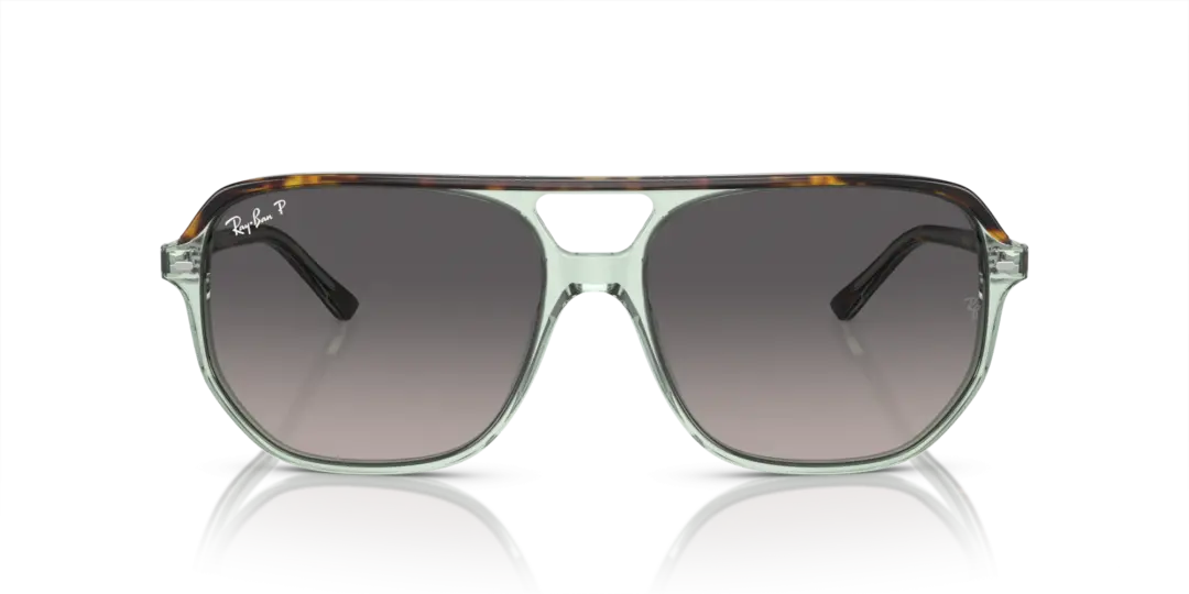 Ray-Ban Bill one 0RB2205 1376M3