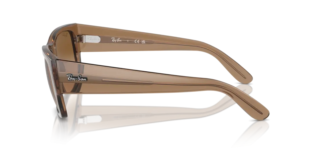 Ray-Ban Carlos 0RB0947SF 664051