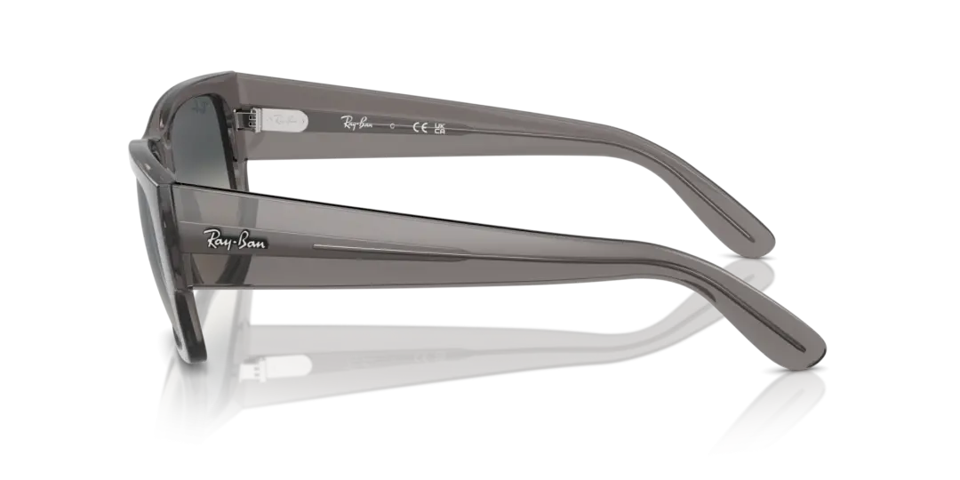 Ray-Ban Carlos 0RB0947SF 667571