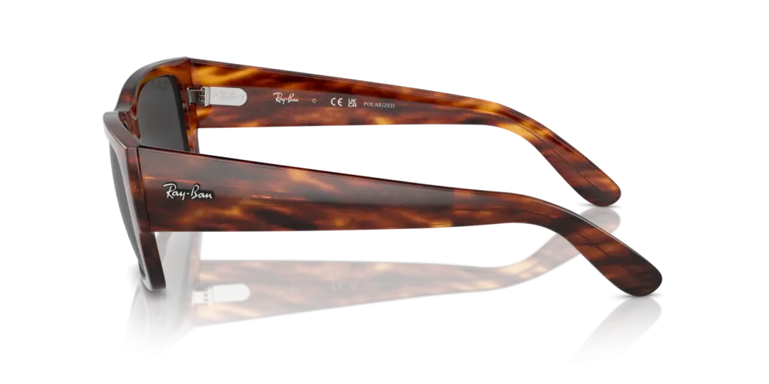 Ray-Ban Carlos 0RB0947SF 954/48