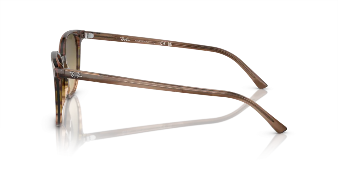 Ray-Ban Elliot 0RB2197F 13920A