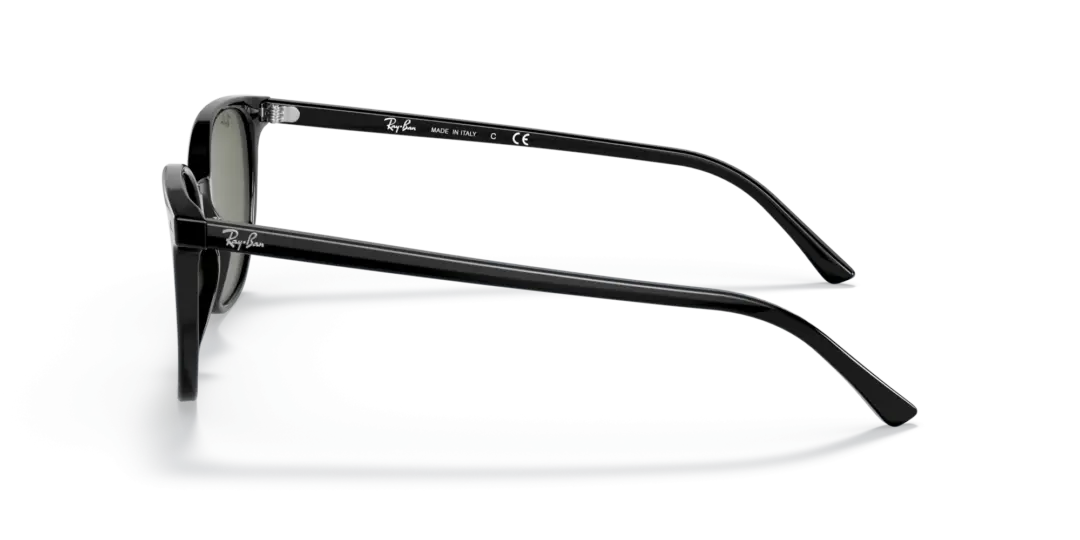 Ray-Ban Elliot 0RB2197F 901/31