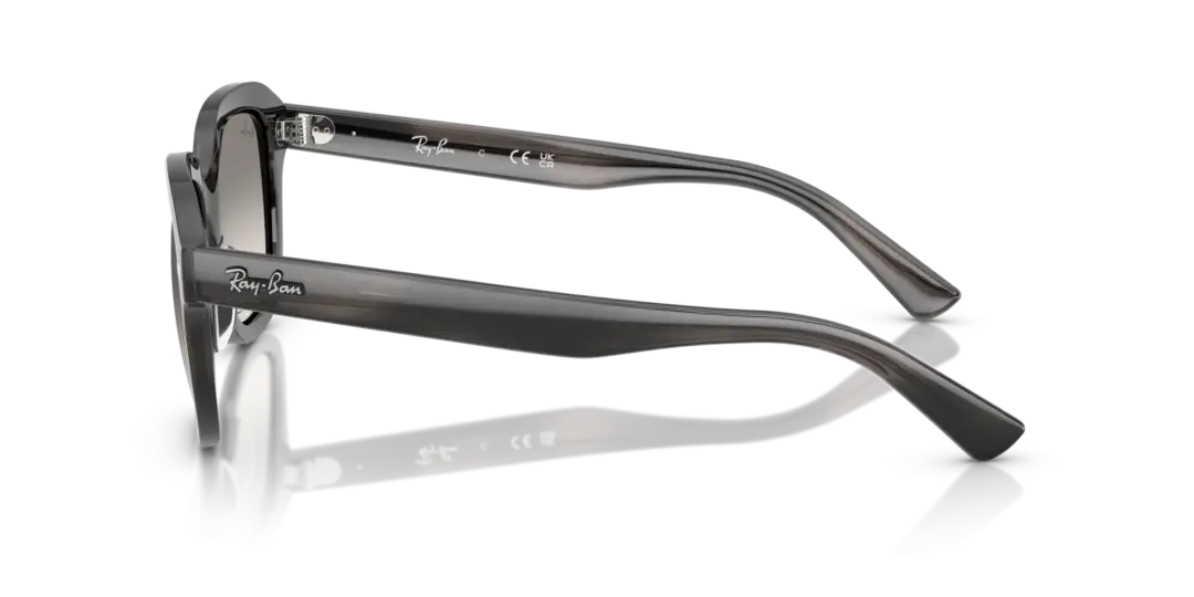 Ray-Ban Erik 0RB4398F 140432