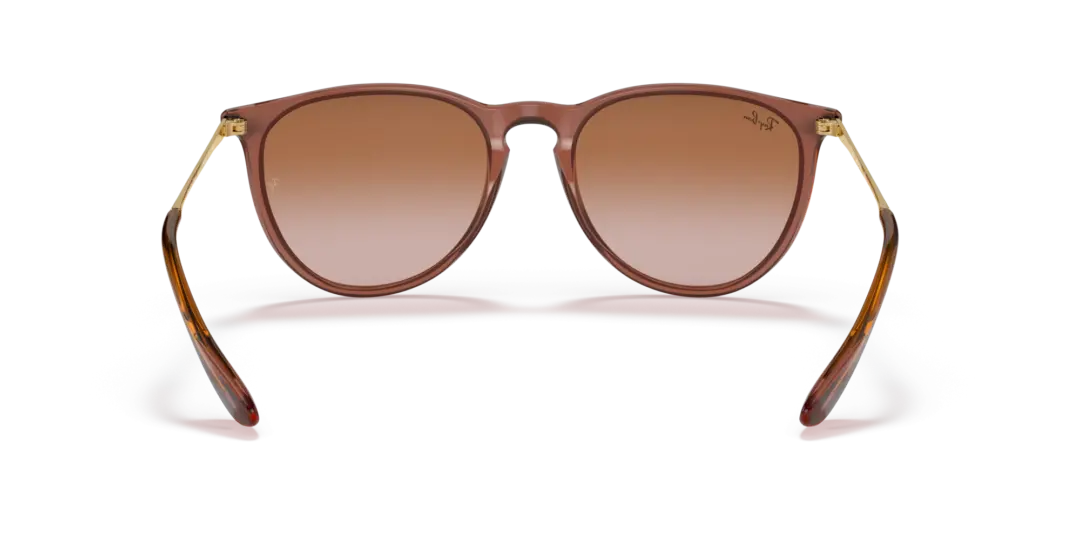 Ray-Ban Erika 0RB4171 659013