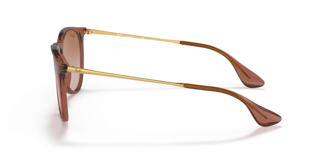 Ray-Ban Erika 0RB4171 659013