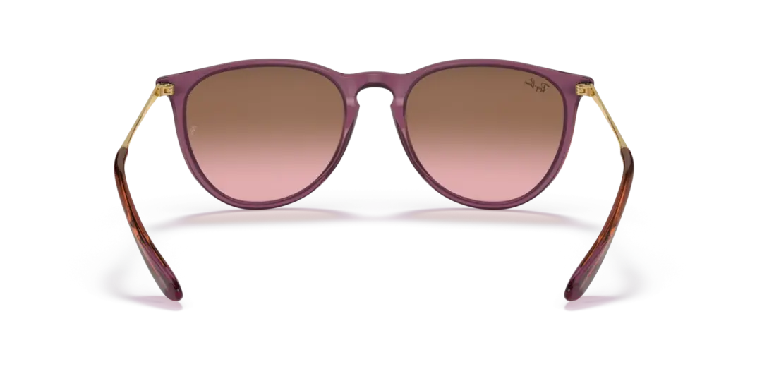 Ray-Ban Erika 0RB4171 659114