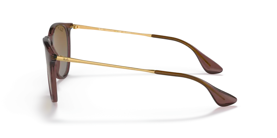 Ray-Ban Erika 0RB4171 6593T5