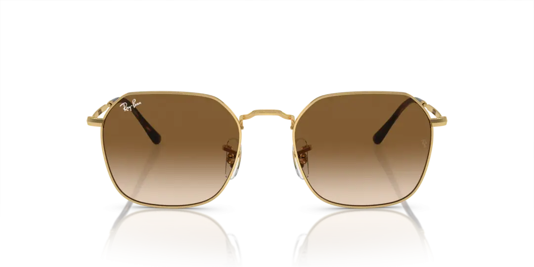 Ray-Ban Jim 0RB3694 001/51