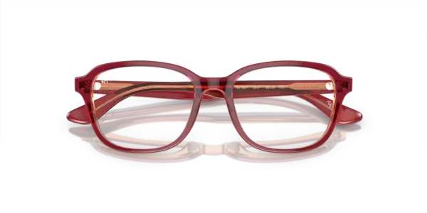 Ray-Ban Junior Optical 0RY1627 3947