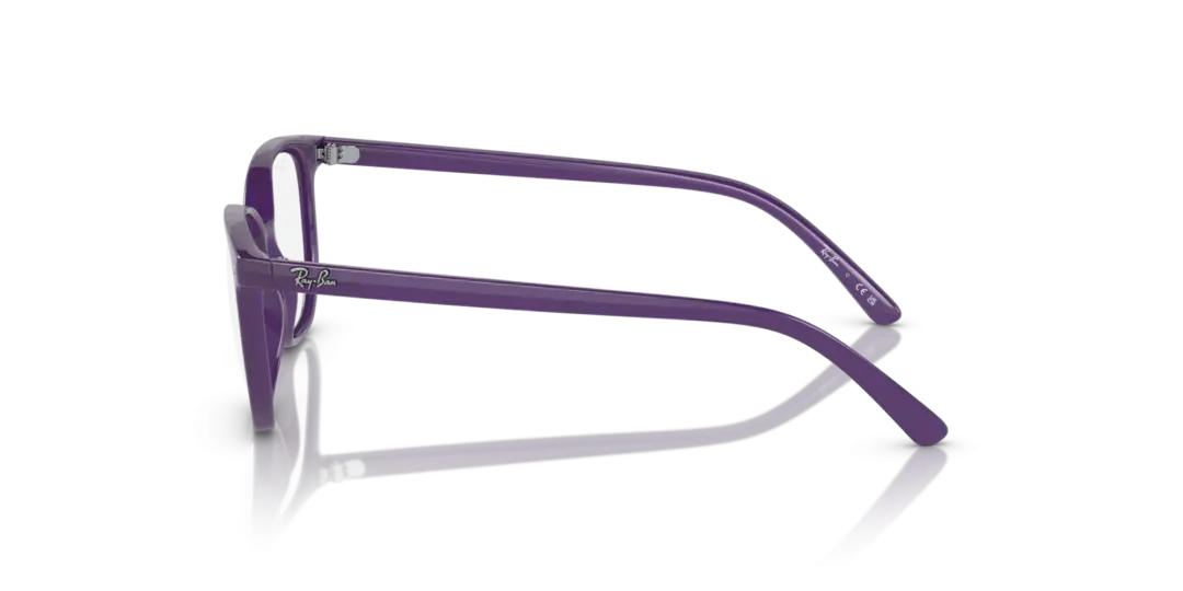 Ray-Ban Junior Optical Junior Elliot 0RY9097V 3935