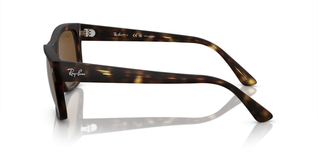 Ray-Ban Kat 0RB4428F 894/57