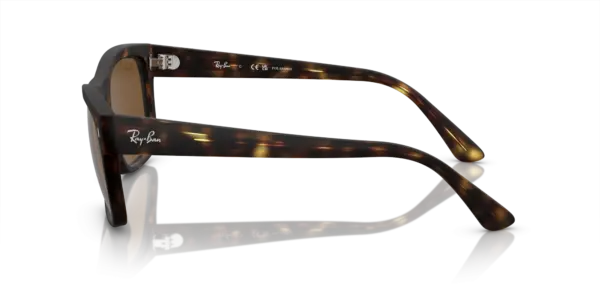 Ray-Ban Kat 0RB4428F 894/57