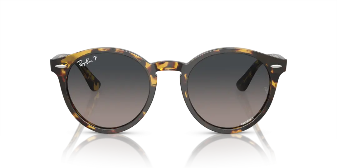 Ray-Ban Larry 0RB7680S 1332GL