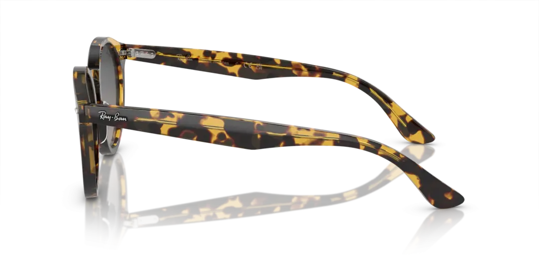 Ray-Ban Larry 0RB7680S 1332GL