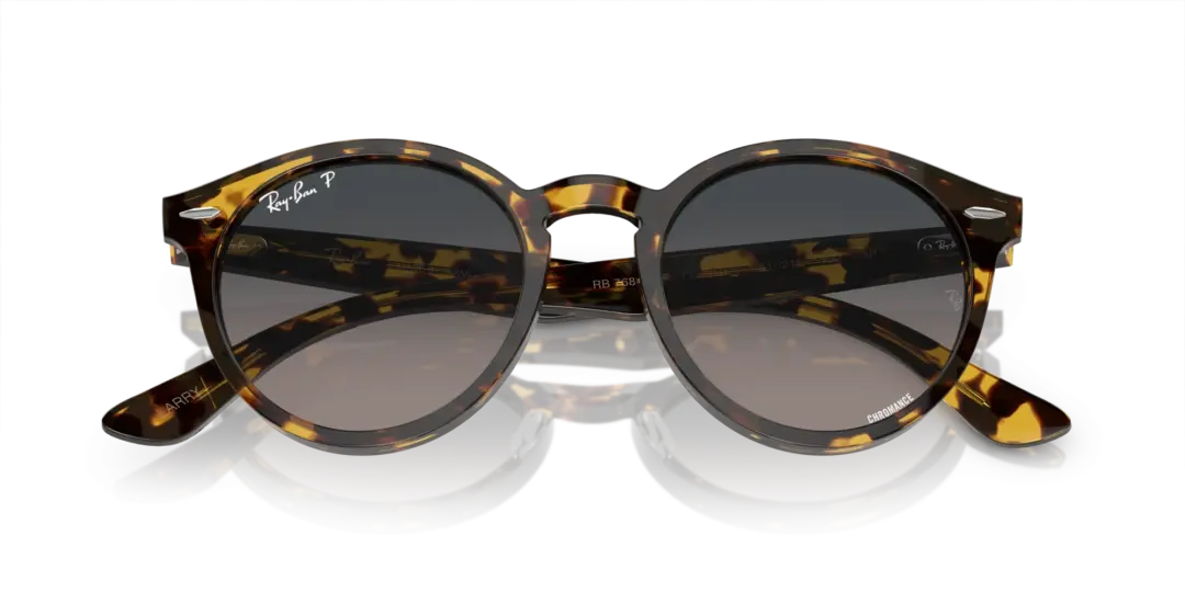 Ray-Ban Larry 0RB7680S 1332GL