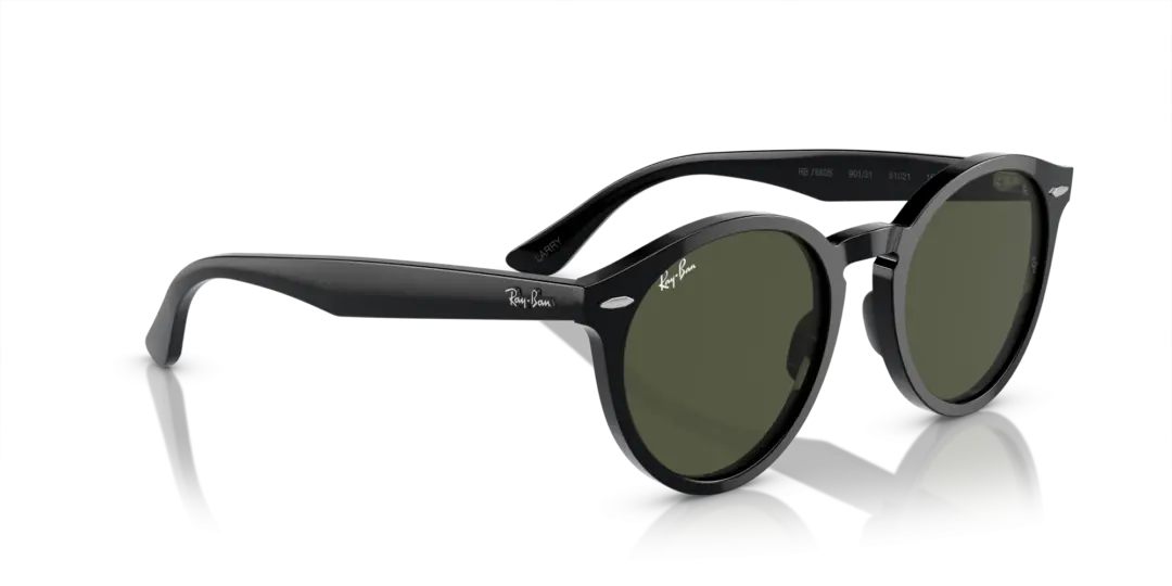 Ray-Ban Larry 0RB7680S 901/31