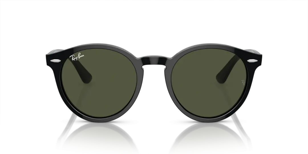 Ray-Ban Larry 0RB7680S 901/31
