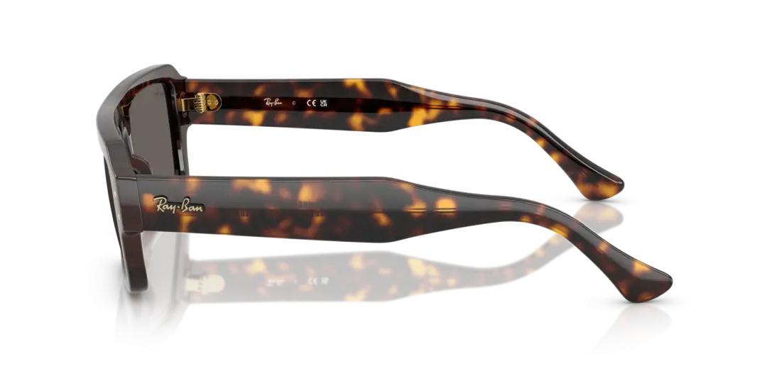 Ray-Ban Lukas 0RB4454F 1359B1