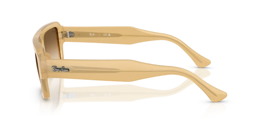 Ray-Ban Lukas 0RB4454F 680651