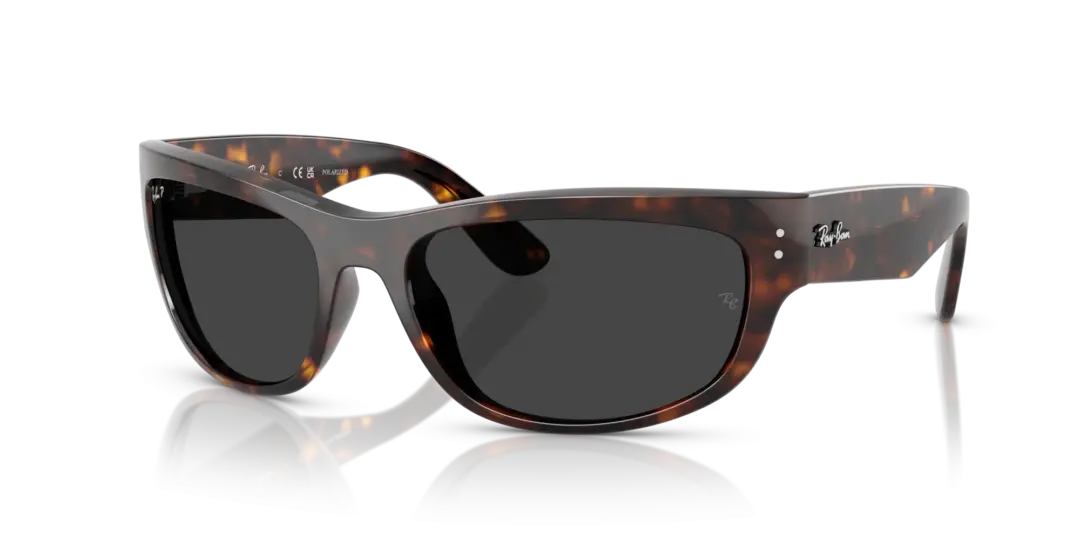 Ray-Ban Mega balorama 0RB2289 902/48