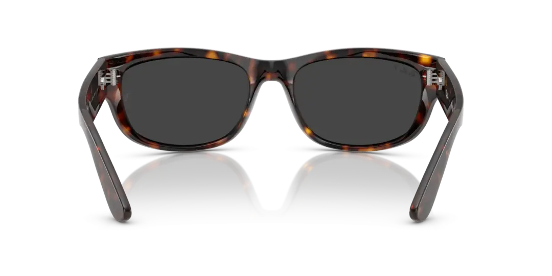 Ray-Ban Mega balorama 0RB2289 902/48