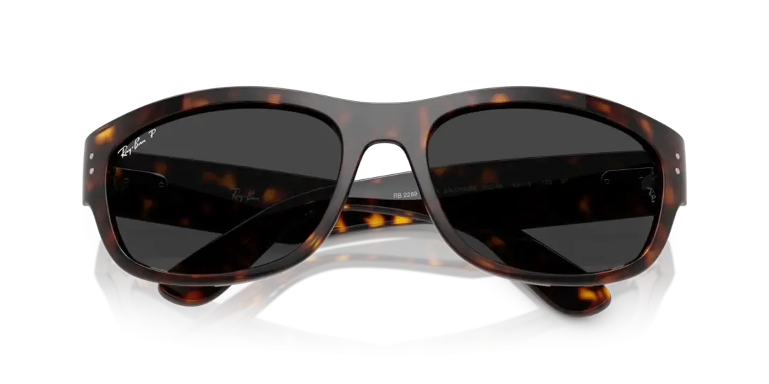 Ray-Ban Mega balorama 0RB2289 902/48