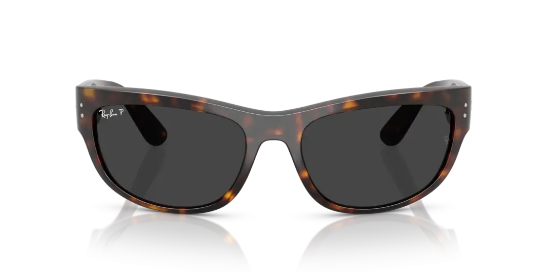 Ray-Ban Mega balorama 0RB2289 902/48