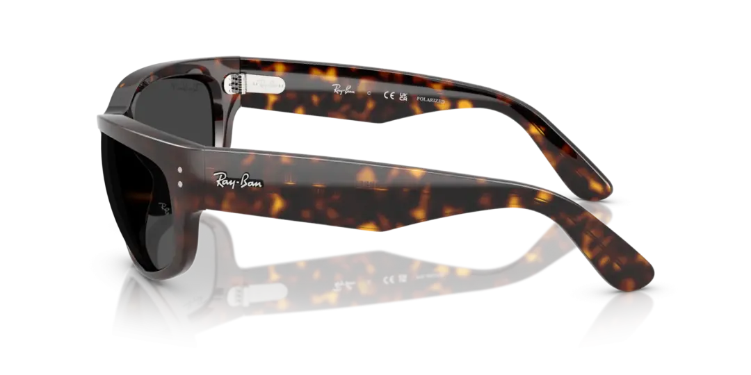 Ray-Ban Mega balorama 0RB2289 902/48