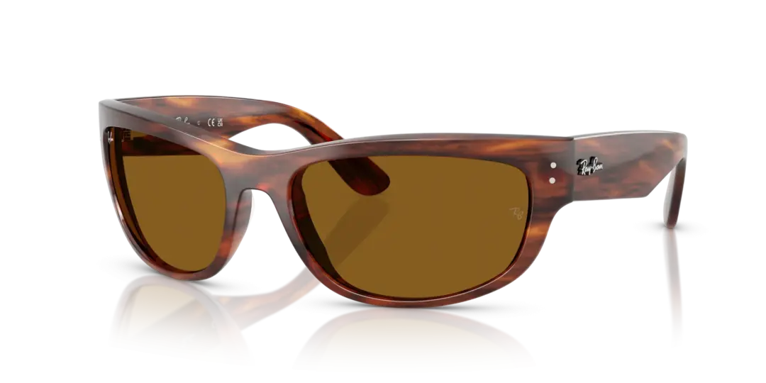 Ray-Ban Mega balorama 0RB2289 954/33
