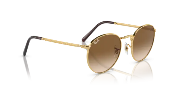 Ray-Ban New round 0RB3637 001/51