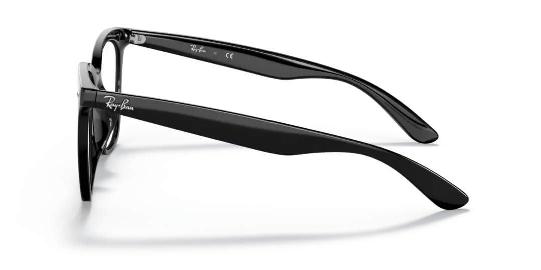 Ray-Ban Optical 0RX4379VD 2000