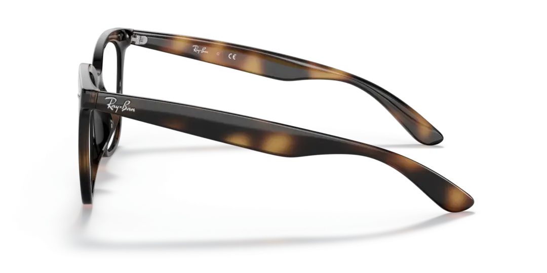 Ray-Ban Optical 0RX4379VD 2012