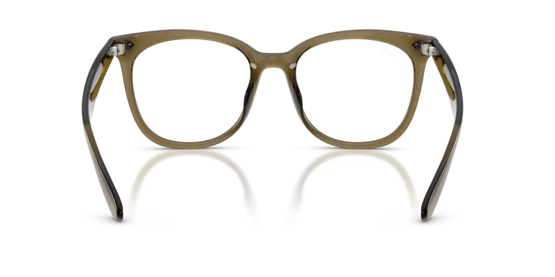 Ray-Ban Optical 0RX4379VD 8445