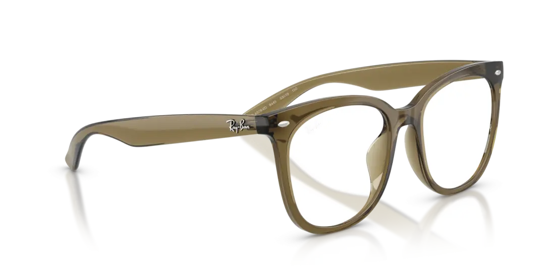 Ray-Ban Optical 0RX4379VD 8445