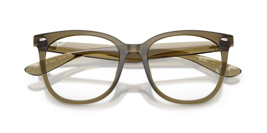 Ray-Ban Optical 0RX4379VD 8445