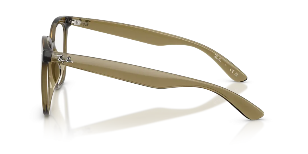 Ray-Ban Optical 0RX4379VD 8445