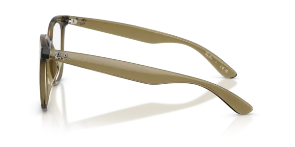 Ray-Ban Optical 0RX4379VD 8445