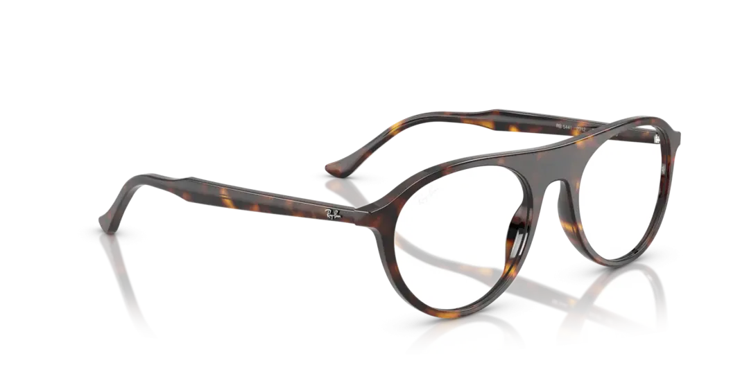 Ray-Ban Optical 0RX5441 2012