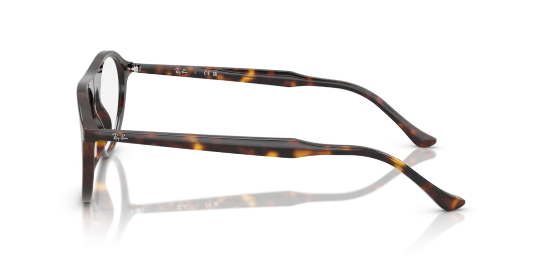 Ray-Ban Optical 0RX5441 2012