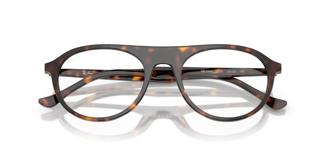 Ray-Ban Optical 0RX5441 2012