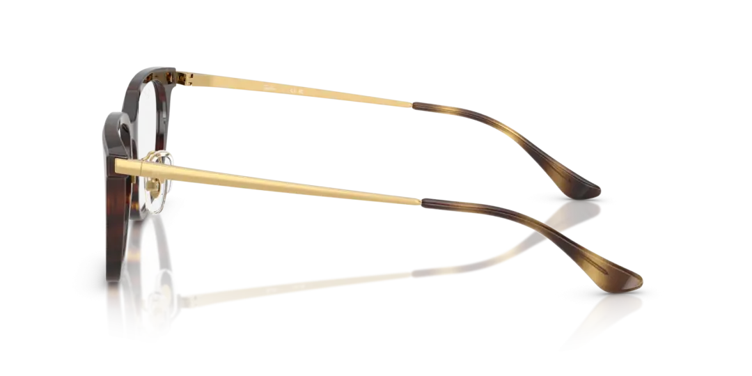 Ray-Ban Optical 0RX5442D 2012