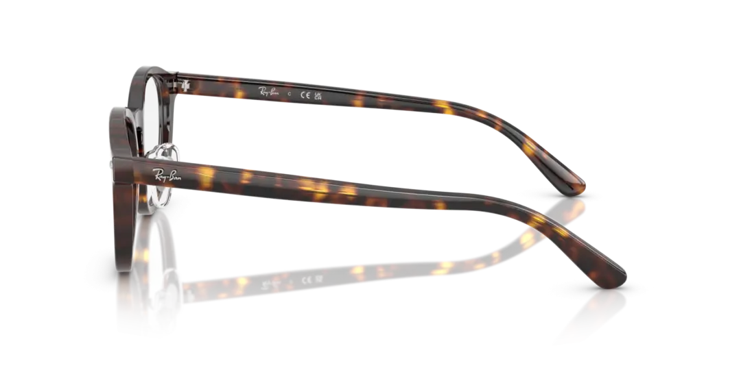 Ray-Ban Optical 0RX5443D 2012