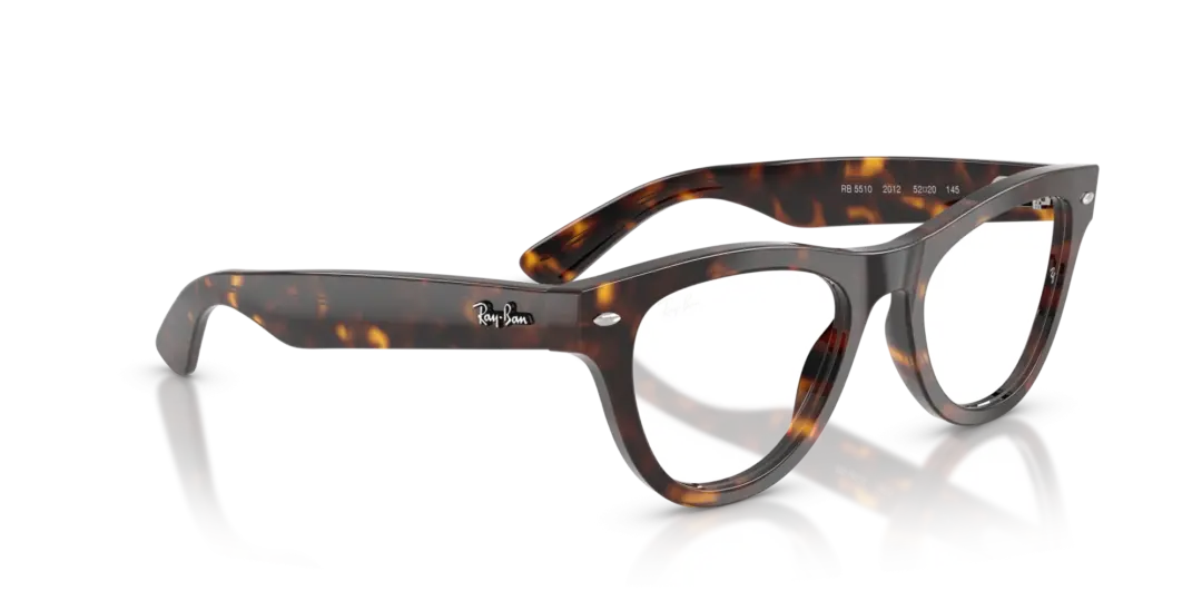 Ray-Ban Optical 0RX5510 2012